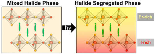 Spacer Cations Dictate Photoinduced Phase Segregation in 2D Mixed Halide Perovskites 